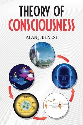 Theory of Consciousness - Alan Benesi