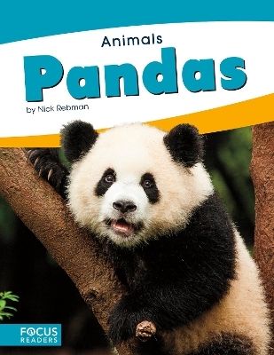 Animals: Pandas - Nick Rebman