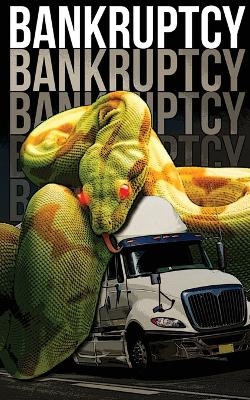 Bankruptcy - Laura Koscki