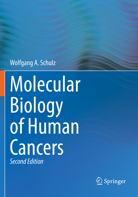 Molecular Biology of Human Cancers - Wolfgang A. Schulz