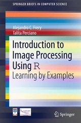 Introduction to Image Processing Using R -  Alejandro C. Frery,  Talita Perciano