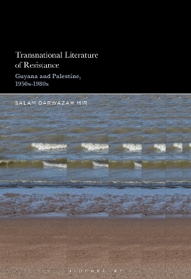 Transnational Literature of Resistance - Professor Salam Darwazah Mir