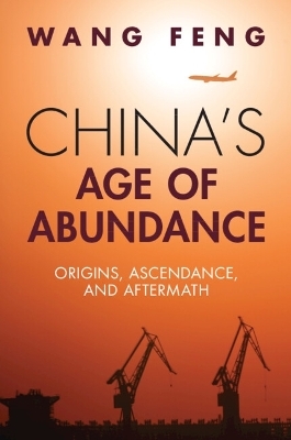 China's Age of Abundance - Feng Wang
