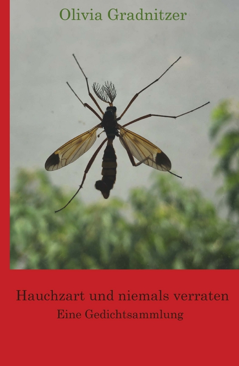 Hauchzart und niemals verraten - Olivia Gradnitzer