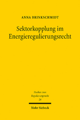 Sektorkopplung im Energieregulierungsrecht - Anna Brinkschmidt