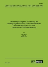 Ultraschallprüfungen zur Erfassung der Schädigungsentwicklung unter verschiedenen Umweltbedingungen und unter zyklischer Druckschwellbelastung