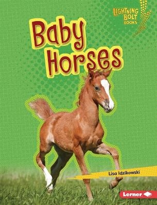 Baby Horses - Lisa Idzikowski