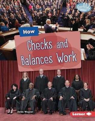 How Checks and Balances Work - Zelda Wagner