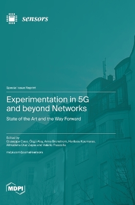 Experimentation in 5G and beyond Networks