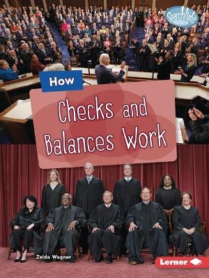 How Checks and Balances Work - Zelda Wagner