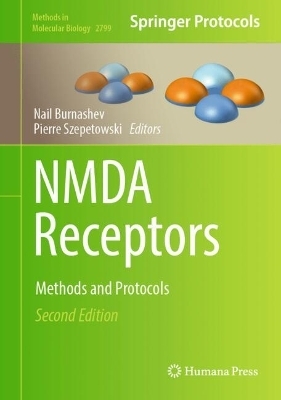 NMDA Receptors - 