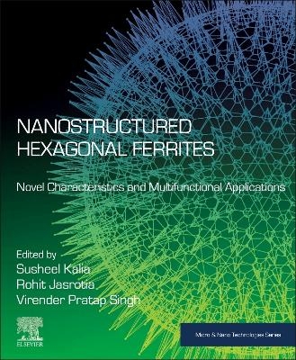 Nanostructured Hexagonal Ferrites - 