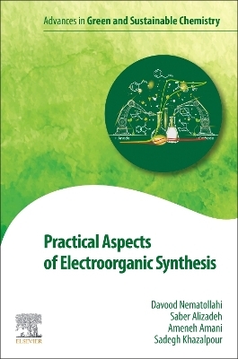 Practical Aspects of Electroorganic Synthesis - Davood Nematollahi, Saber Alizadeh, Ameneh Amani, Sadegh Khazalpour