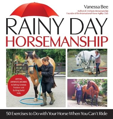 Rainy Day Horsemanship - Vanessa Bee