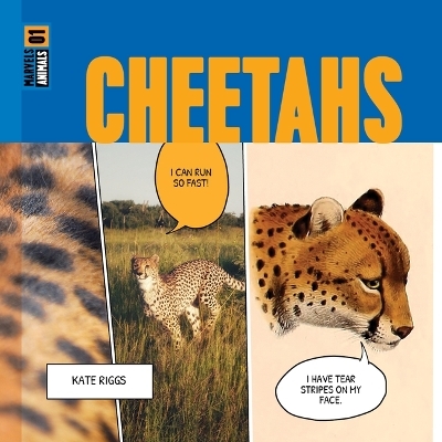 Cheetahs - Kate Riggs