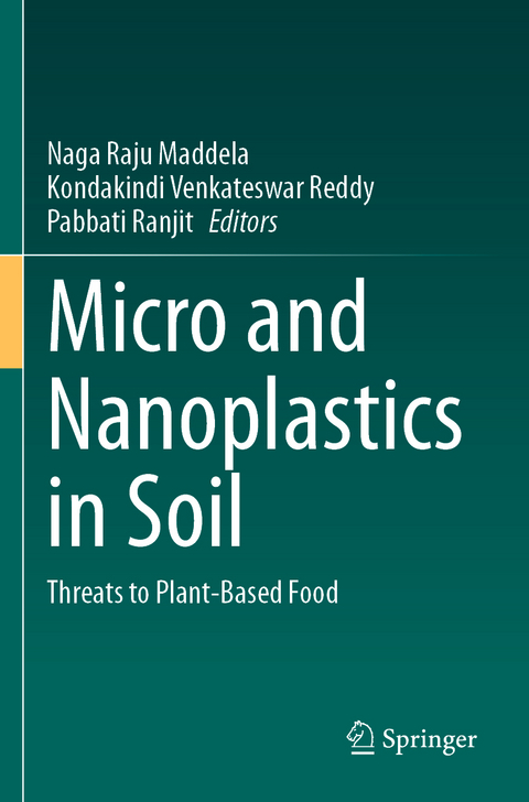 Micro and Nanoplastics in Soil - 