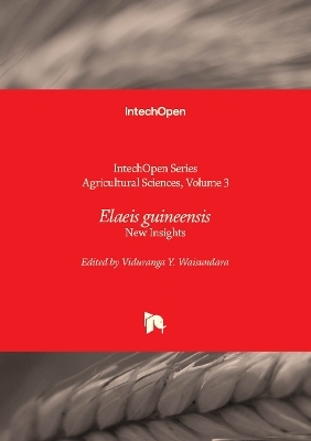 Elaeis guineensis - 