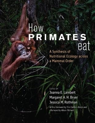 How Primates Eat - 