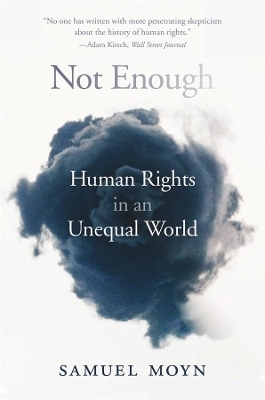 Not Enough - Samuel Moyn