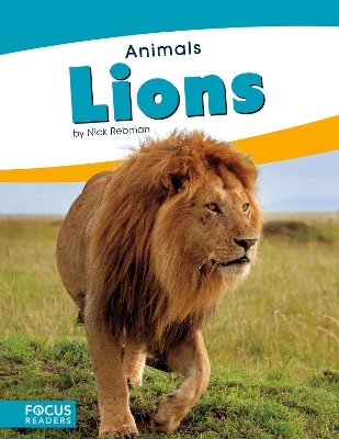 Animals: Lions - Nick Rebman