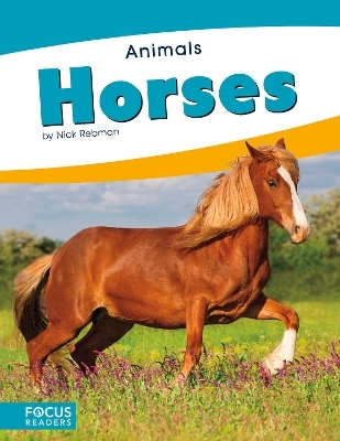 Animals: Horses - Nick Rebman