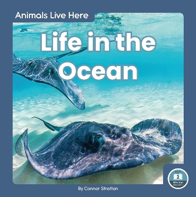 Animals Live Here: Life in the Ocean - Connor Stratton