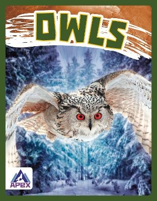 Birds of Prey: Owls - Golriz Golkar