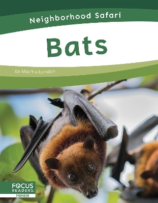 Neighborhood Safari: Bats - Martha London