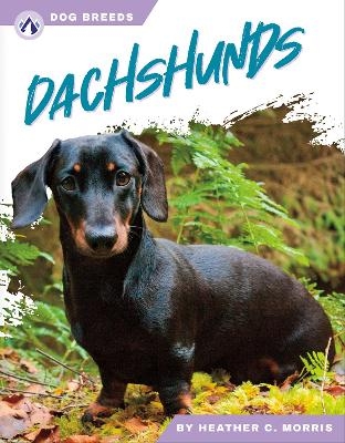 Dog Breeds: Dachshunds - Heather C. Morris