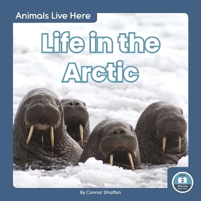 Animals Live Here: Life in the Arctic - Connor Stratton