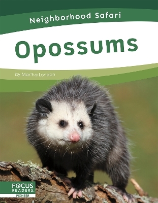 Neighborhood Safari: Opossums - Martha London