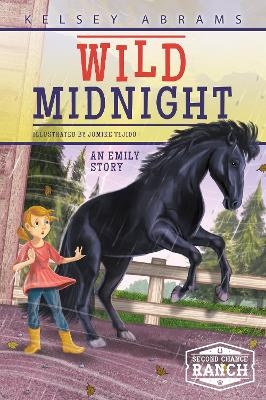 Wild Midnight - Kelsey Abrams