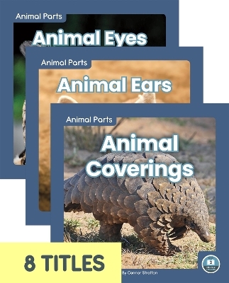 Animal Parts (Set of 8) - Connor Stratton