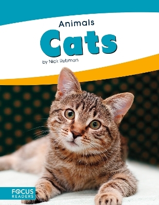 Animals: Cats - Nick Rebman