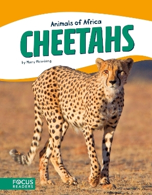 Animals of Africa: Cheetahs - Mary Meinking