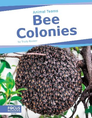 Animal Teams: Bee Colonies - Trudy Becker