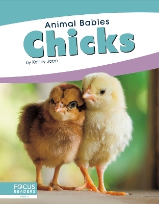 Animal Babies: Chicks - Kelsey Jopp
