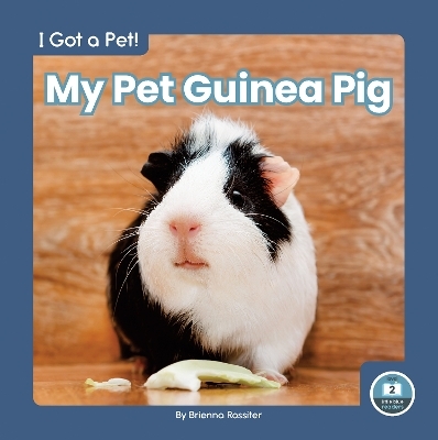 I Got a Pet! My Pet Guinea Pig - Brienna Rossiter