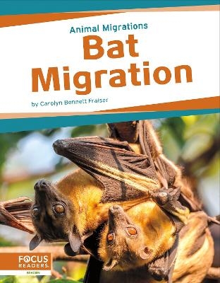 Animal Migrations: Bat Migration - Carolyn Bennett Fraiser