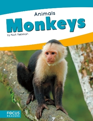Animals: Monkeys - Nick Rebman