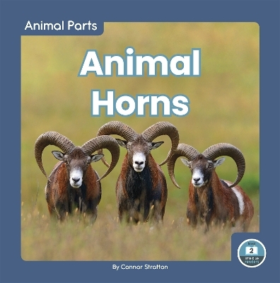Animal Parts: Animal Horns - Connor Stratton