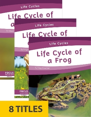 Life Cycles (Set of 8) - Meg Gaertner