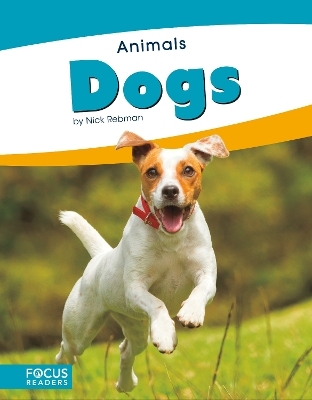 Animals: Dogs - Nick Rebman