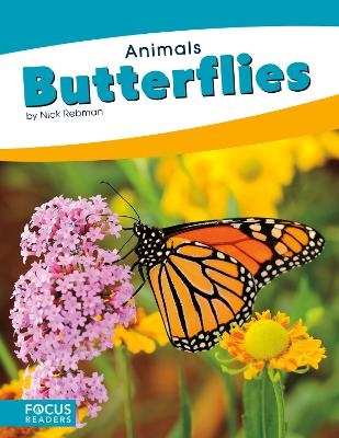 Animals: Butterflies - Nick Rebman
