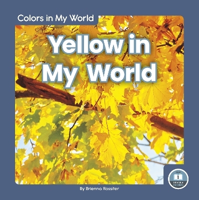 Colors in My World: Yellow in My World - Brienna Rossiter