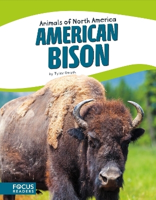 Animals of North America: American Bison - Tyler Omoth