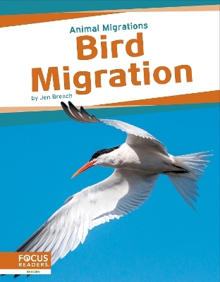 Animal Migrations: Bird Migration - Jen Breach