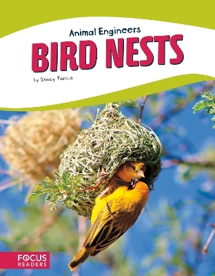 Animal Engineers: Birds Nests - Stacy Tornio