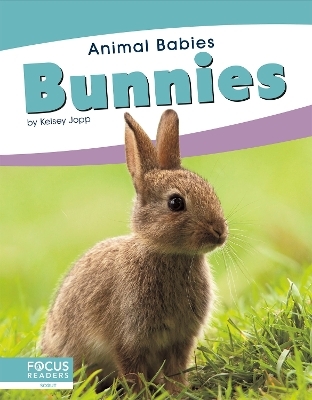 Animal Babies: Bunnies - Kelsey Jopp