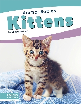Animal Babies: Kittens - Meg Gaertner